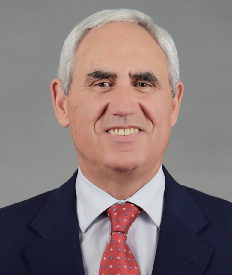 Prof. Doutor Fernando Alves Correia